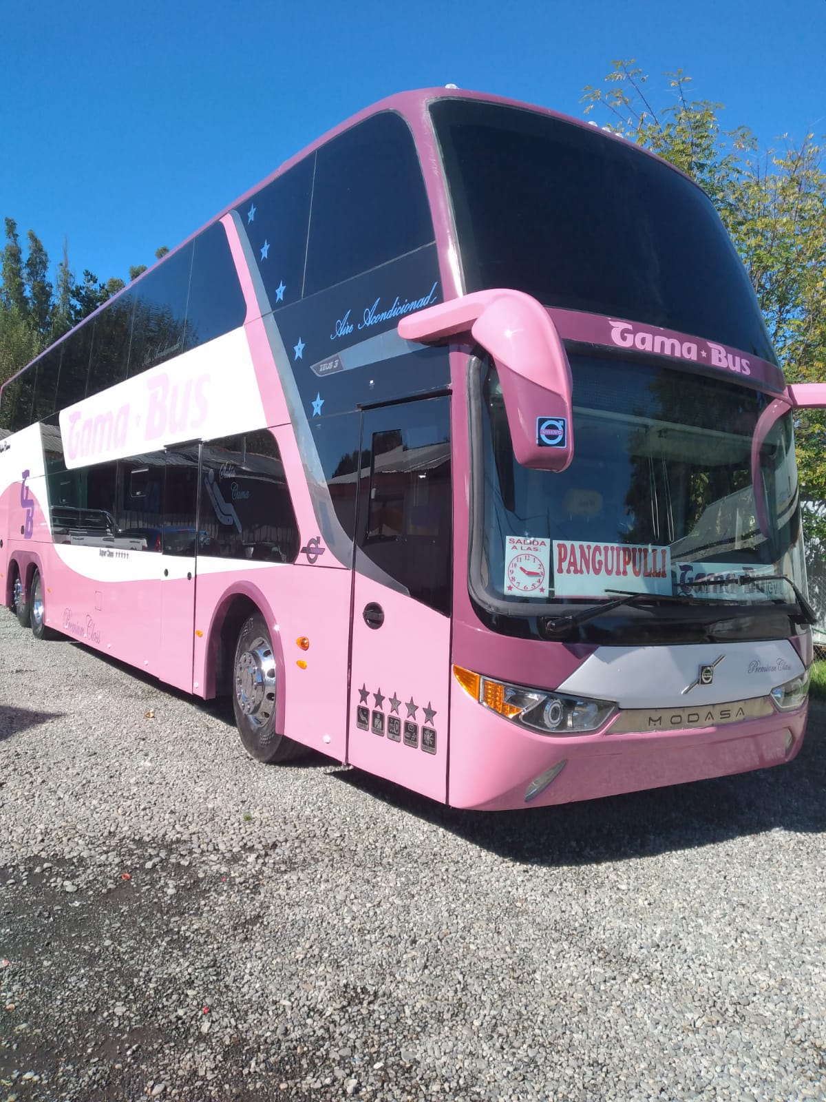 Arriendo de Buses